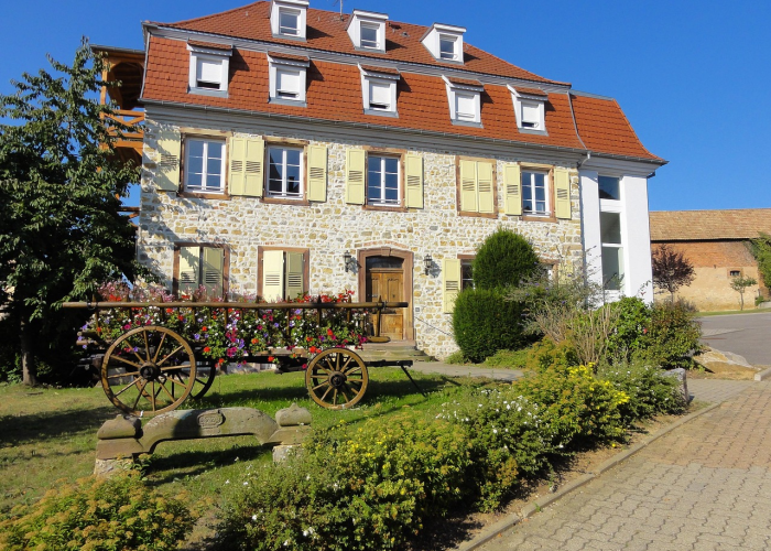 四部门：强化重点领域金融资源投入，做好粮油生产金融服务