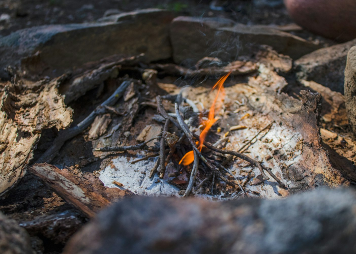美国在APEC会议上推动人工智能资金支持与渔业技术推广 🎊