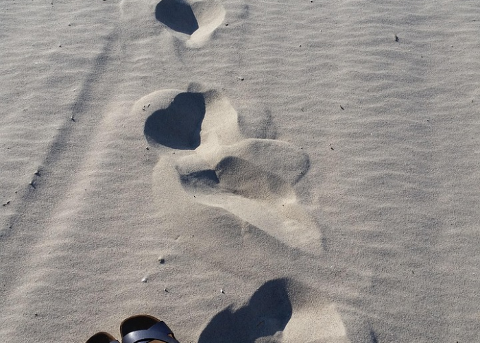 科技股重回正轨，连续第二天提振美国股市 🎏