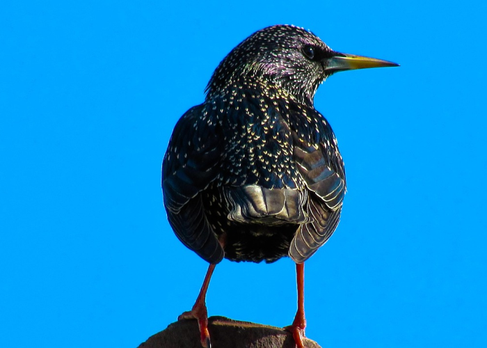 31省份增22例本土0新增(31省区市增62例本土)