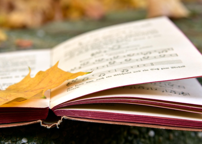 北京确诊病例详细情况轨迹(北京确诊病例详情公布)