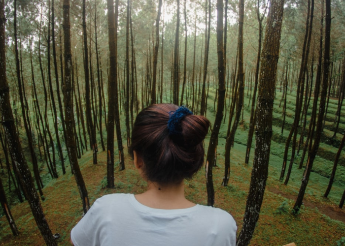 四川成都疫情最新消息：四川成都疫情最新消息今天又封了