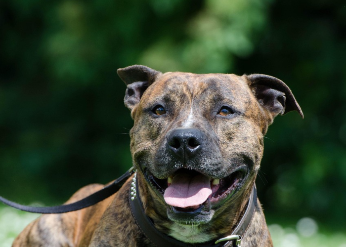 🕙 31省份新增本土病例94例31省份新增本土33例