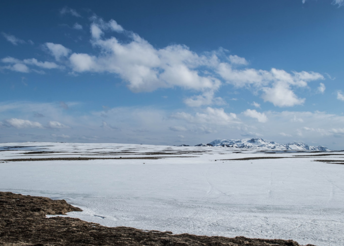 电力设备与新能源行业周观察：太空光伏催化持续 电力设备需求高景气延续
