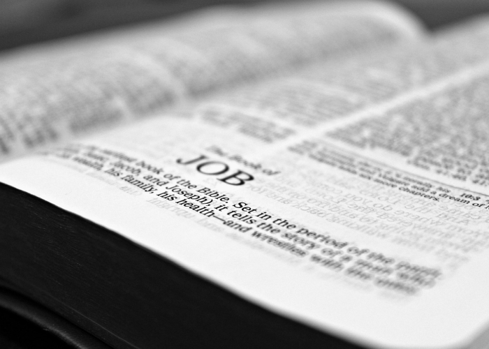 💧 北京本轮疫情出现6条传播链北京公布疫情传染源