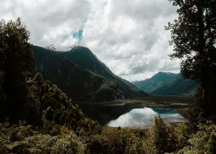 31省区市新增本土确诊病例47例(31省区市新增确诊54例本土41例)