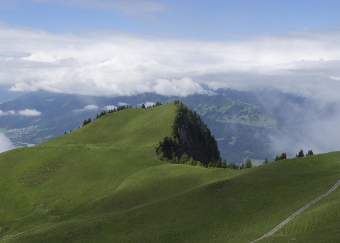 郑州市今天最新疫情,郑州市疫情最新发布