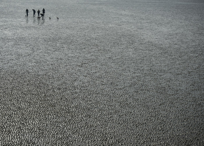 北京朝阳区降为低风险地区,北京朝阳区调整为低风险