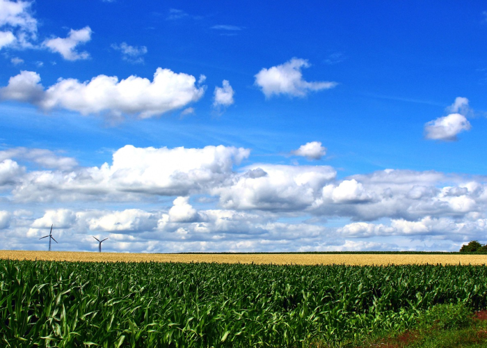 🌧️ 31省新增5例·31省份新增5例 🌧️ 31省新增5例·31省份新增5例