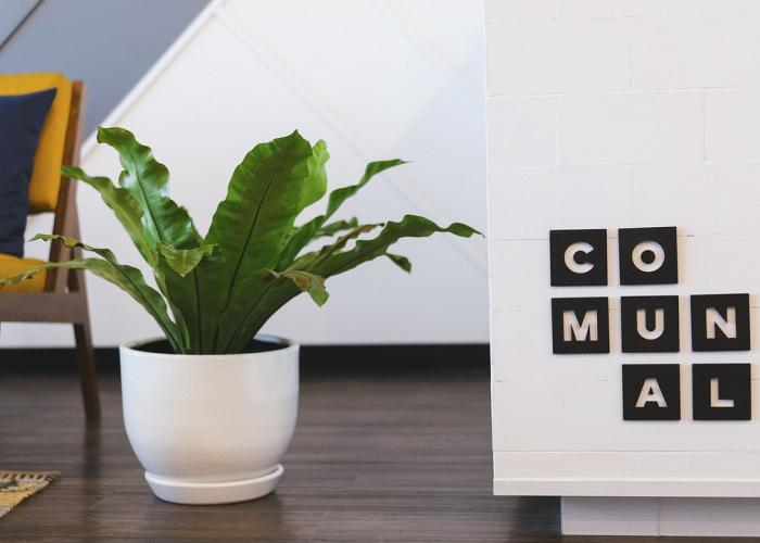 芜湖解封芜湖何时解禁 🕔