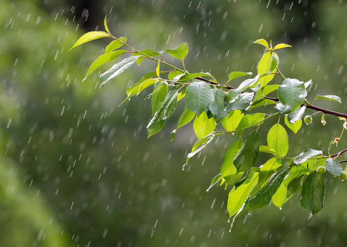 辽宁新增1例本土确诊在大连,辽宁新增1例本土确诊在大连什么地方