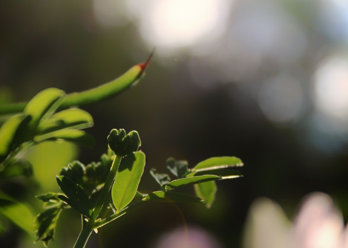 31省新增56例本土,31省新增本土152了例