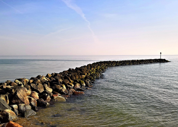 元旦休假安排(元旦休假)