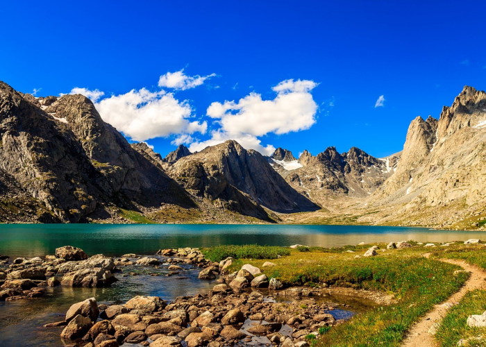 🔸 31省份新增本土病例97例河南60例河南省份新增本土确诊53例