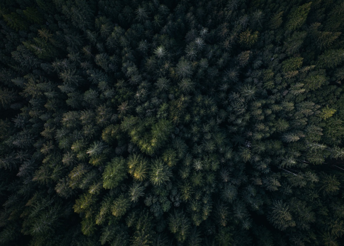 广东新增18例本土确诊(广东新增8例本土确诊病例)