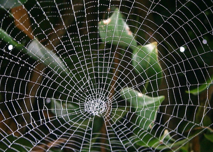 3月感染者超5.6万例,3月确诊 3月感染者超5.6万例,3月确诊