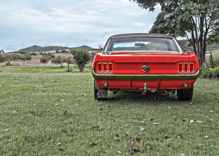 31省份新增确诊病例37例(31省新增确诊36例)