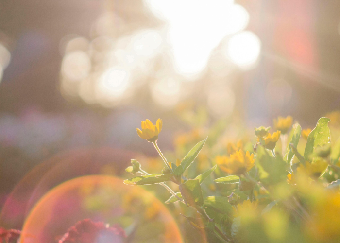 31省昨增本土2010例,31省昨日增本土28例