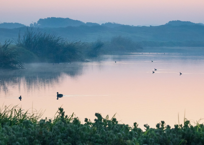 北京本轮疫情涉及12个区北京疫情涉及地区