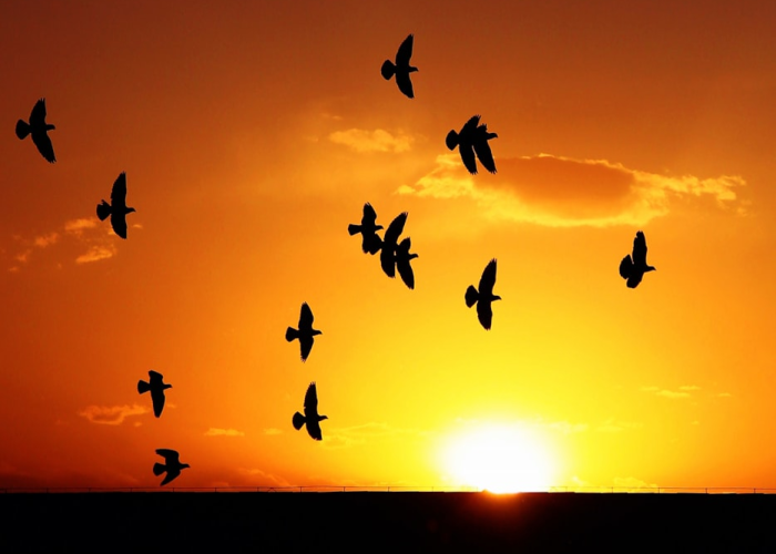 杭州两学校现阳性15例均为首次感染,杭州新增学校