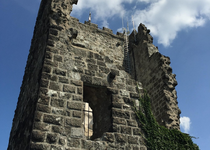 🌊 陕西昨日新增1例本土确诊,陕西新增1例本土确诊病例行动轨迹