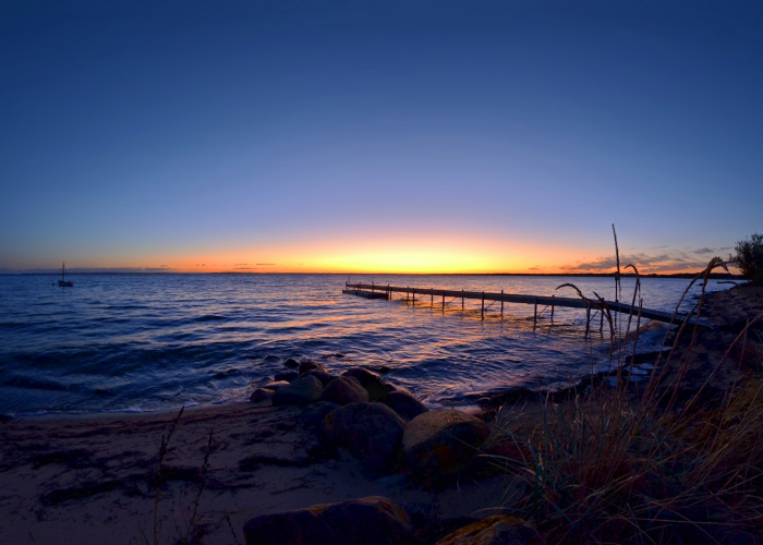 🎐 新疆新增本土89例 → 新疆新增本土病例20例