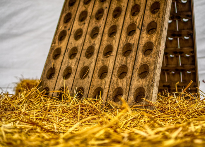 全国最新的疫情情况通报(全国最新的疫情情况)