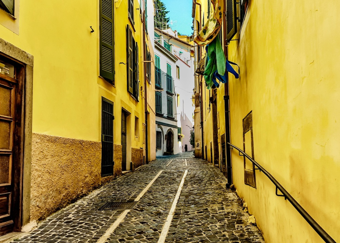 深圳新增1例本土(深圳新增本土确诊22例) 深圳新增1例本土(深圳新增本土确诊22例)