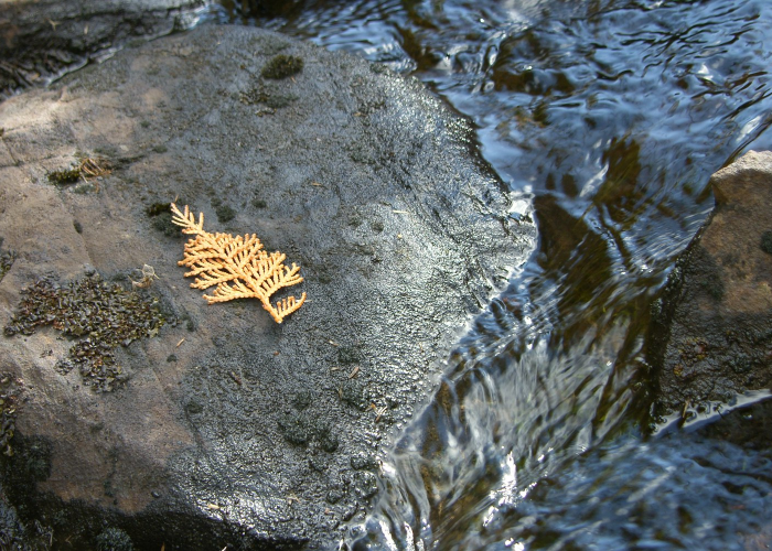 做空软件股 对冲基金狂赚240亿美元