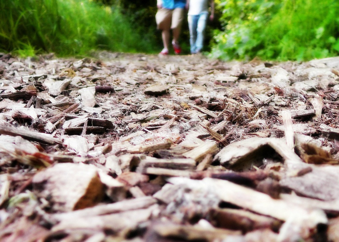 002150.SZ(正泰电源)