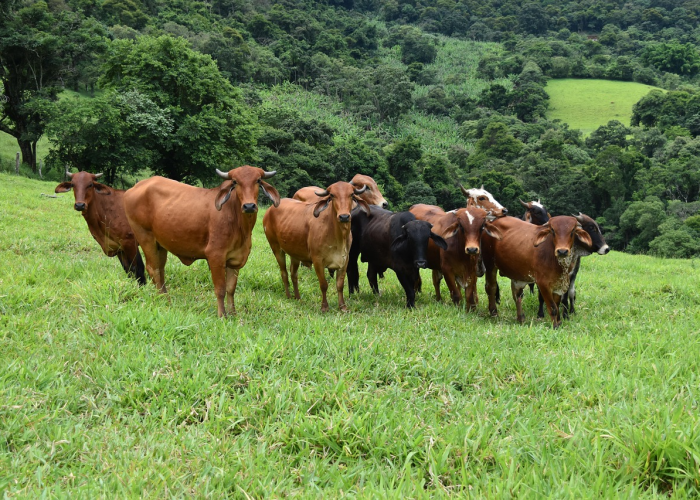 乌鲁木齐市疫情最新情况,乌鲁木齐市疫情最新情况发布会