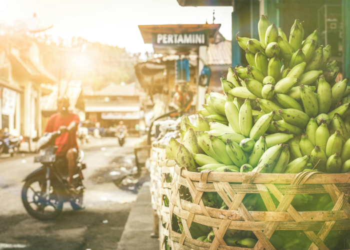 河北新增7例本土确诊(河北新增7例本地确诊病例)