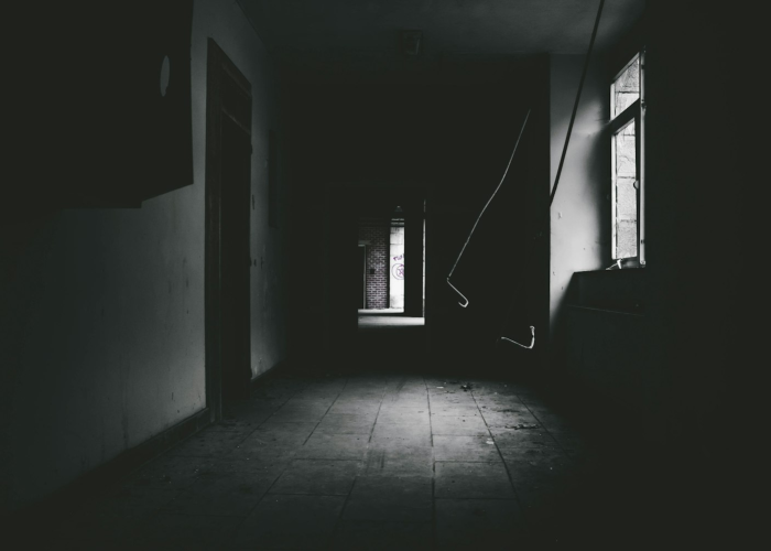 ☀️ 哈尔滨新增5例本土新冠阳性,哈尔滨新增5例行动轨迹