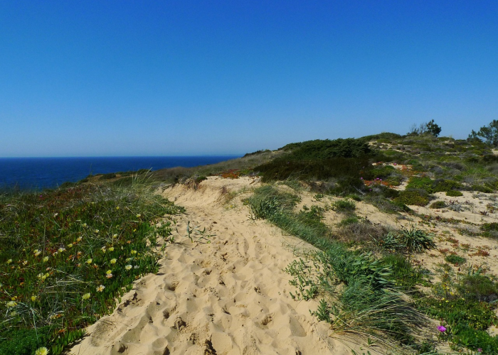 辽宁新增40例确诊,辽宁新增确诊病例323例 辽宁新增40例确诊,辽宁新增确诊病例323例