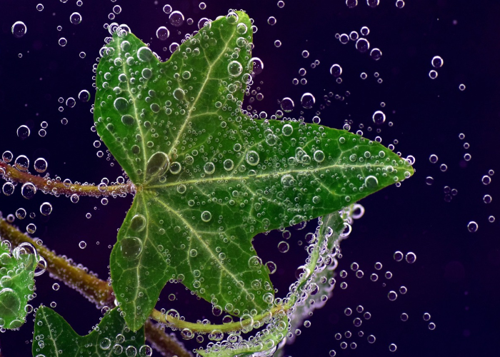 本轮疫情已涉及7省本轮疫情已波及7省