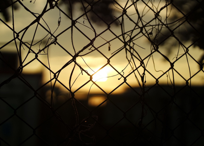 请问刚才哪里发生了地震(刚刚哪儿发生了地震)