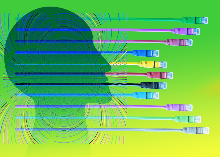 石家庄19日24时会解封吗石家庄1月19日24时解封是真的吗