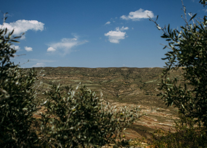 日经225指数开盘涨超1%