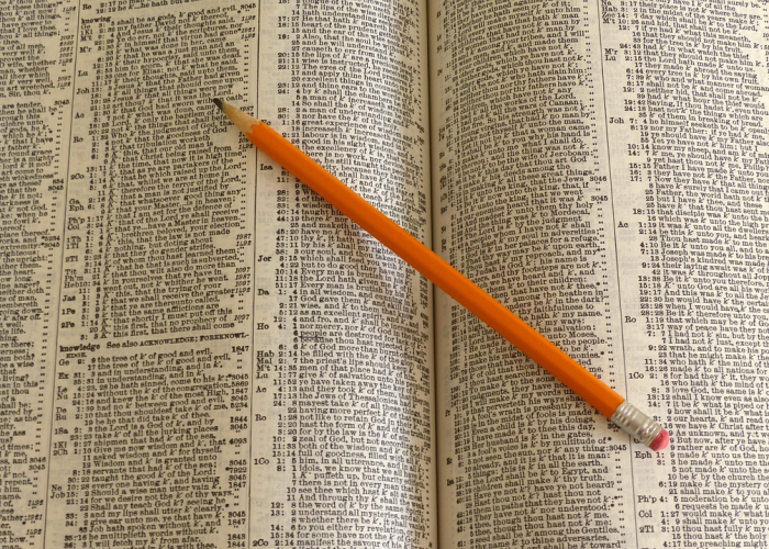 福特汽车季度盈利不及预期,首席执行官认为2026年将更强劲 福特汽车季度盈利不及预期,首席执行官认为2026年将更强劲