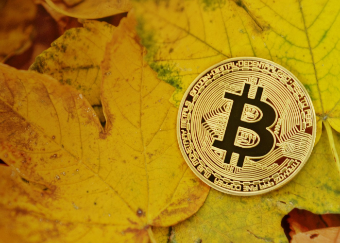 上海出现疫情的小区上海出现新型肺炎的小区