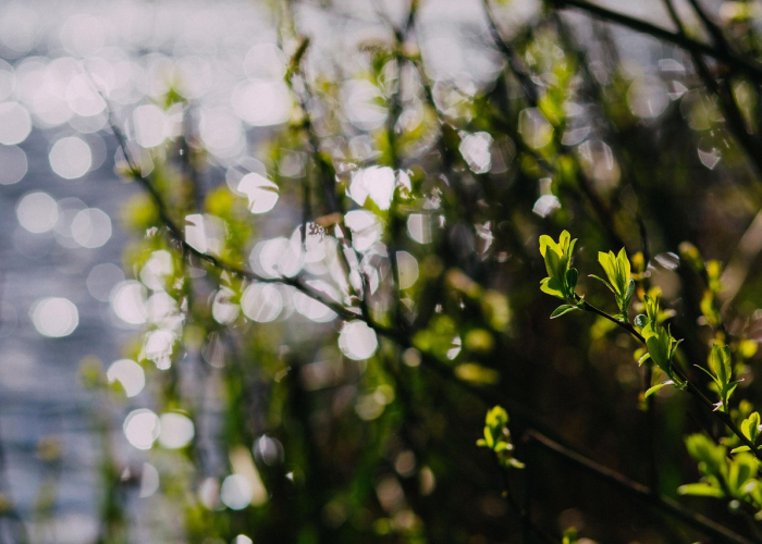清明节高速公路免费情况(清明节高速公路免费时间)