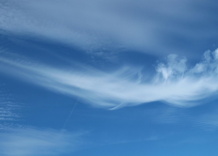 西安 本土 确诊(西安本土确诊超千例)