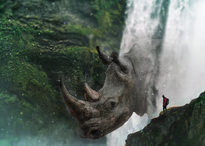 31省区市昨天无新增本土确诊(31省区市昨日无新增确诊病例)