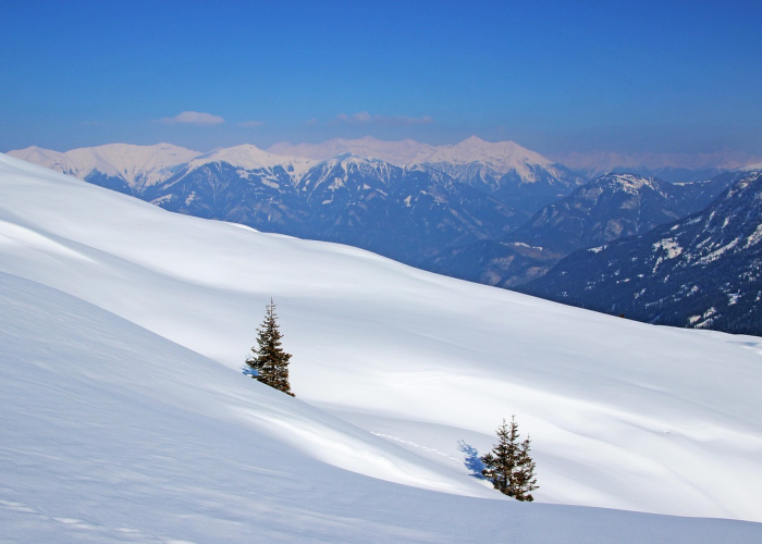 舒兰多名行政人员确诊舒兰市政府疫情公告