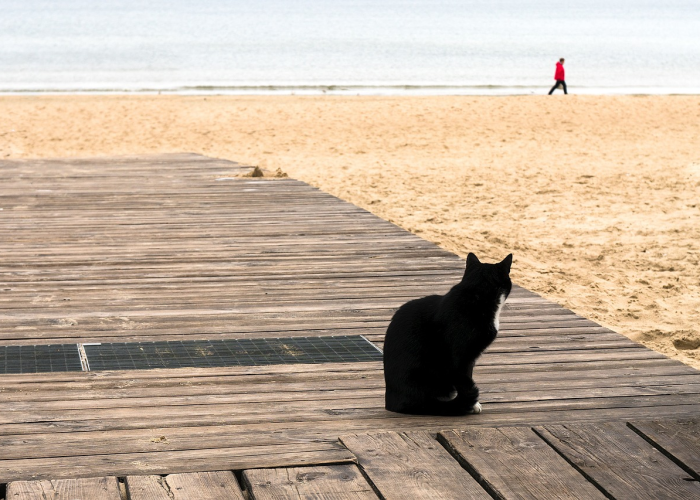 大连疫情最新消息今天,大连疫情最新情况