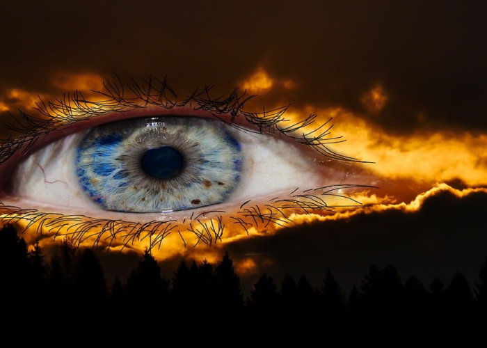 厦门新增7例确诊病例厦门新增7例确诊病例详情