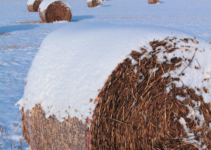 北京朝阳发现2例初筛阳性北京朝阳区确诊两例 🔥