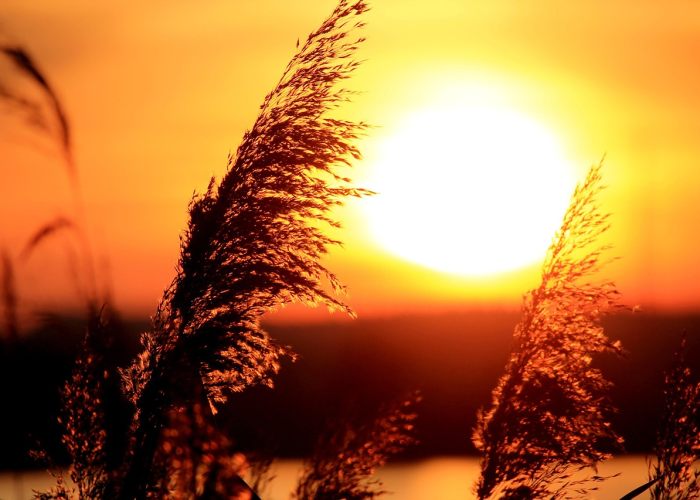 2023年高速路免费通行,202年高速公路免费到几号了